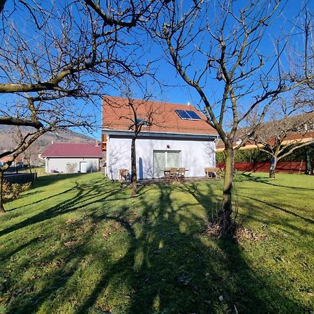 Le Gite De Cleo, Maison Spacieuse Et Paisible. Metzeral Exterior foto